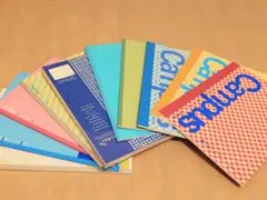 Item thumbnail for item 1fd59fb8-a1a0-4698-b579-31f544c049ac