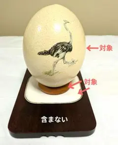 2026年最新】ダチョウの卵の人気アイテム - メルカリ