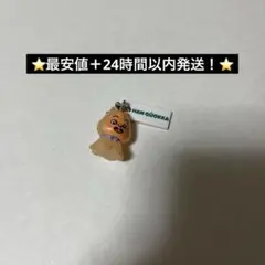 straykids スキズ めじるしアクセサリー ガチャ ハン ハンクォッカ