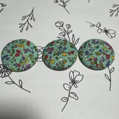 Item thumbnail for item af09f2e2-69fa-43b7-9108-6bb20f3f147b