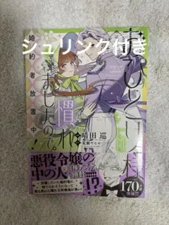 おひとり様には慣れましたので。婚約者放置中！ 3