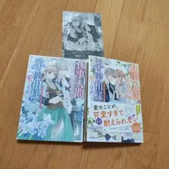 仕事人間な伯爵令嬢は氷の宰相様の愛を見誤っている 2 ～どうやら溺愛されている…