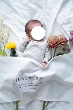 タペストリー　JUST BORN ニューボーンフォト用背景
