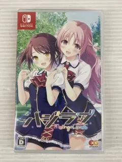 G028 Switchソフト ハジラブ Making Lovers