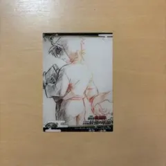 忍たま乱太郎 最強の軍師 トレーディングカードコレクションクリア 土井半助