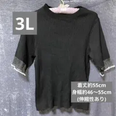 3Lサイズ ブラック半袖トップス シースルー モノトーン 大きいサイズ 黒