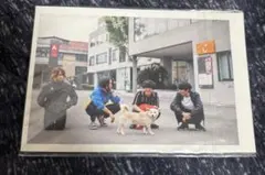 ヒトリエ　アルバム購入特典　ポストカード