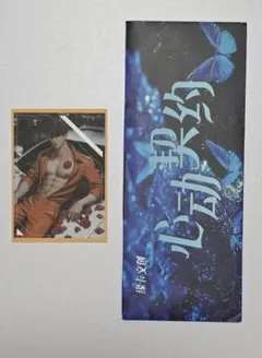 しらうめ　おまとめ2点目100円引き様 リクエスト 4点 まとめ商品