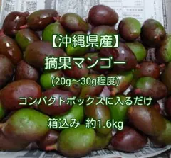 2026年最新】摘果マンゴーの人気アイテム - メルカリ