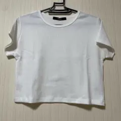 Item thumbnail for item e64f2651-69fd-45bc-8a25-2cdae31968c9