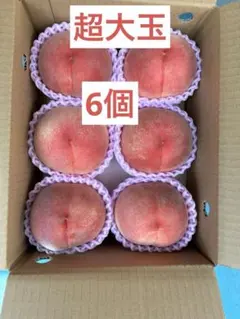 超特大玉6個　約3kg 贈答用にもどうぞのサムネイル