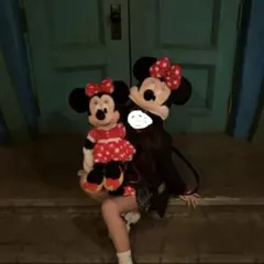 ミニーマウス ファンキャップ ぬいぐるみ セット