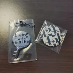 Item thumbnail for item 8b73201f-efdc-4c31-8060-b93d13d667cf