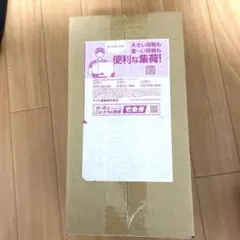 【新品・未開封】ポケモンセンター フクオカ スペシャルボックス