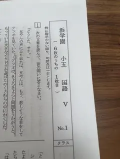 浜学園 小5 復習テスト 国語 V1〜5.S6〜42のサムネイル