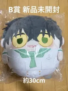 年末セール】 怪獣8号 ふわコロりんBIG 保科 宗四郎 30cm - メルカリ