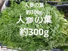 人参の葉　約300gのサムネイル