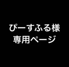 専用ページ