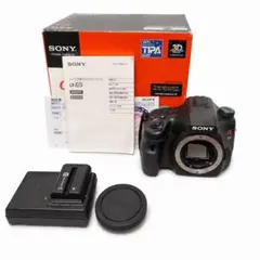 美品 SONY α99 ,Tokina AT-X 20-35mm F2.8 - メルカリ