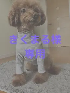 きくまる様専用ページ