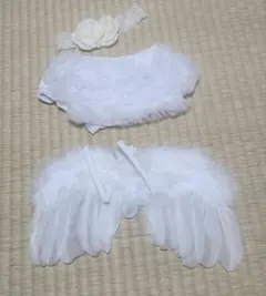 ホワイト羽根付きコスチュームセット