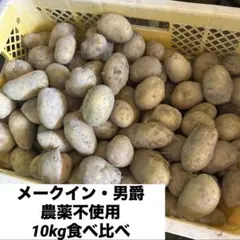 熊本県産 メークイン 10kg 無農薬栽培 新じゃが - メルカリ