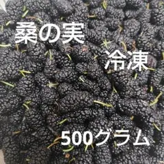 山梨　桑の実　マルベリー　採りたて　500グラム　冷凍のサムネイル