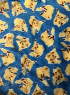 ポケモン　ピカチュウ　生地　フリース　110×95cm 青　平成レトロ