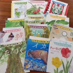 月刊 かがくのとも 2024年度 12冊 付録付き - メルカリ