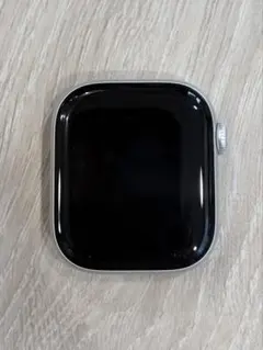 ジャンク箱・付属品完備 Apple Watch 10 42mm 初期化済