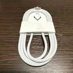 Apple純正 USB Type-C to C充電ケーブル＋SIMピン