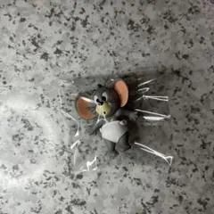 Item thumbnail for item 39ba9eb7-c63e-4b2b-91e2-ee80f5595bc6