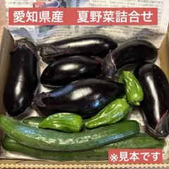 【愛知県産】朝採り⭐︎茄子　きゅうり　ピーマン詰合せ⭐︎宅急便コンパクトのサムネイル