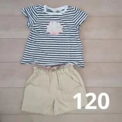 petit main ボーダー Tシャツ ショートパンツ　120　まとめ売り