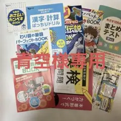 チャレンジ 4年生 副教材 テキスト ９冊 実力アップテキスト ヒミツBOOK