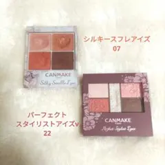 キャンメイク シルキースフレアイズ 07 パーフェクトスタイリストアイズv 22
