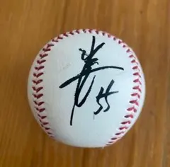 Item thumbnail for item f41efdce-cdc5-4129-84b9-720fa0ac07ce