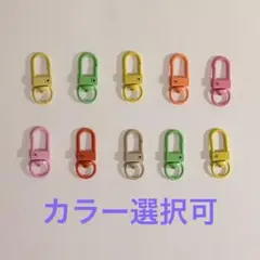 ナスカン 10個セット カラー選択可 回転カン付きハンドメイド パーツ