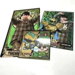 【35点】ゴジュウジャー 猛原禽次郎 ザッカマート A3 まとめ売り おまけ付き ゴジュウジャー猛原禽次郎セット - メルカリ