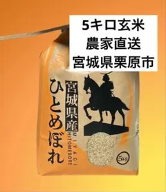 宮城県栗原市産 ひとめぼれ 玄米5kg 農薬・化学肥料を抑えて栽培のサムネイル