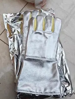 Item thumbnail for item 0358c1d6-471a-4e94-ad43-ffb535842475