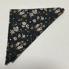 Item thumbnail for item 3b4429b4-7ca5-4632-9c03-7a61d40bbee9