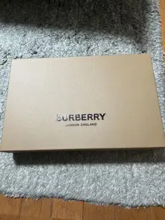 ヒ*ト様 BURBERRY 空箱