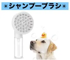 Item thumbnail for item 92ab0bed-b051-4bd1-8db3-b4a1fac53aef