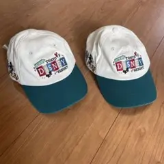 ディズニー キャップ 白と緑 ツートン