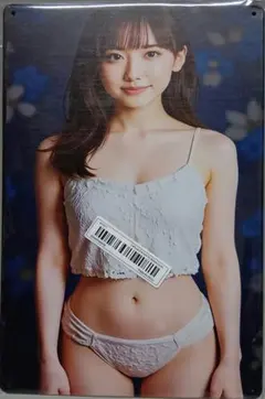 ランジェリー メタルポスター【ブリキ看板】