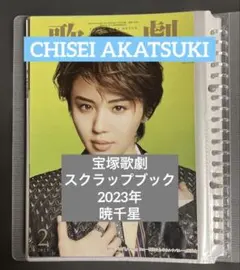 Item thumbnail for item 14e4f919-c571-4bf2-beae-ea3d4c5f428d