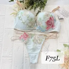 サルート【アラジン】F75&ノーマルL IV 80 プレステージ - メルカリ