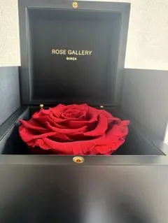 Item thumbnail for item 961ef4fb-bc6a-40f8-b11c-d1f5197fa400