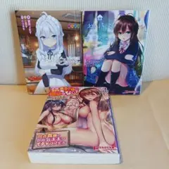 ぷちぱら文庫　3冊セット　官能小説【バラ売り可】